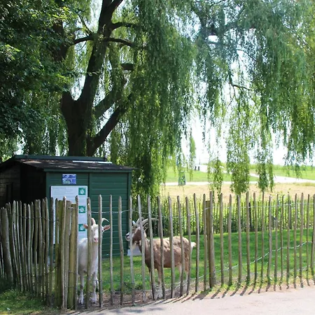 Cozy Family Bunglow In Zevenhuizen 別荘